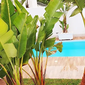 Villa Maison Plain-pied Avec Piscine Chauffee
